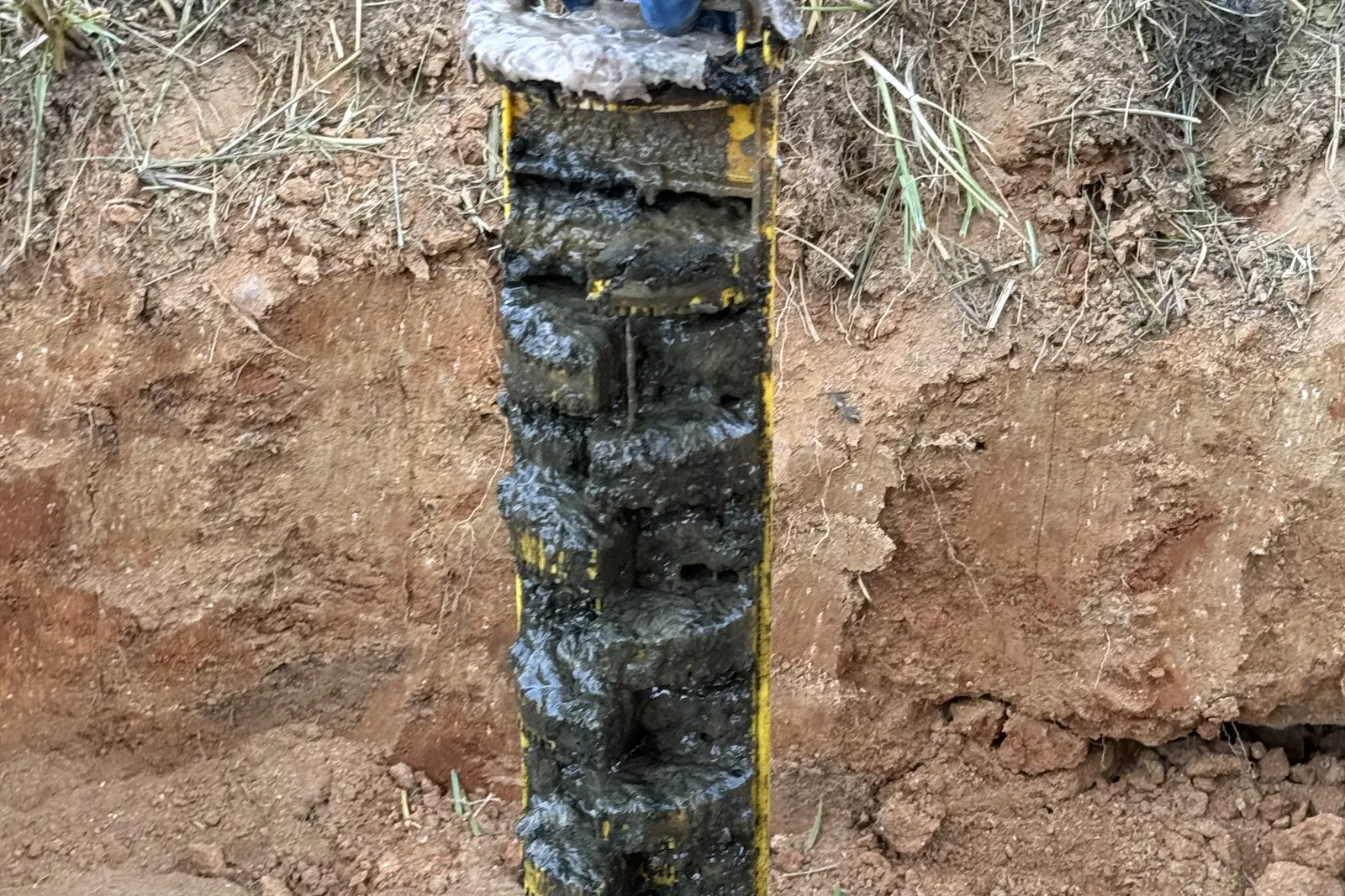 Sludge-clogged effluent filter pulled from a septic tank outlet