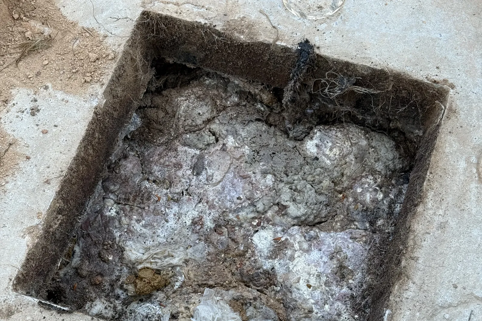 Failing septic tank packed with a hardened scum crust before restoration